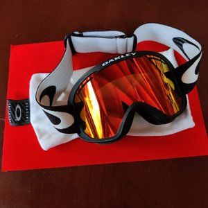 Oakley oversized googles